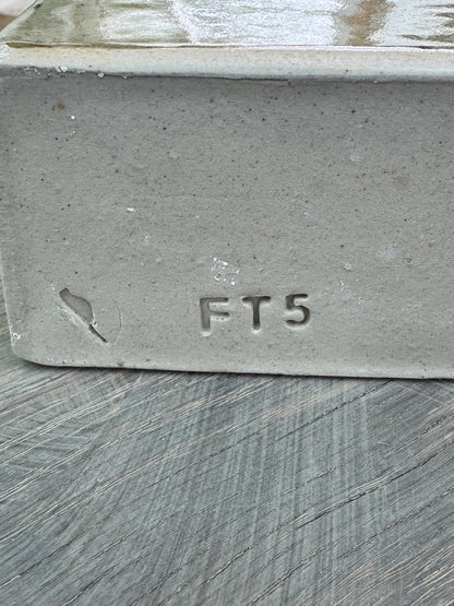 FT 5 - Forme Témoin - 6 mai 2026