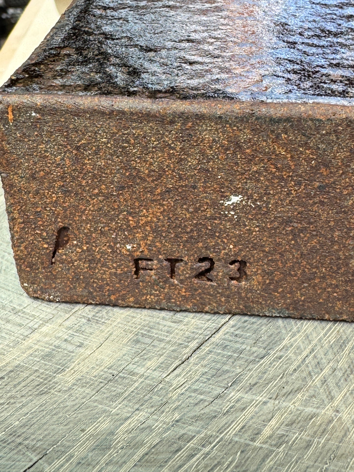 FT - Specimen Form - May 5, 2026